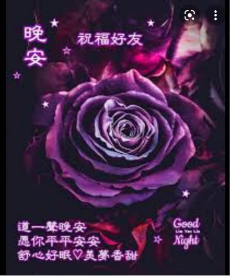 晚上好 E123長青網 長者服務及老人院資訊 晚上好 E123長青網 長者服務及老人院資訊