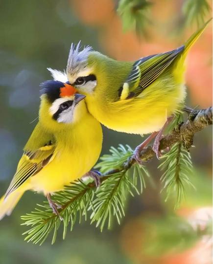 488658A6-9A84-4892-8A0C-3FB7393543A5-16211-000001B54B3E7D60