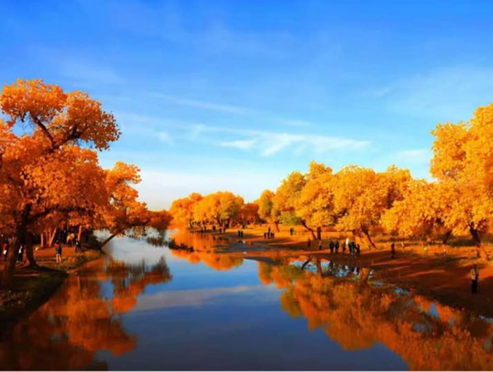 48876E3A-6118-4C4A-A12D-275AACA20BFF-88789-00000713FC0ECAC9