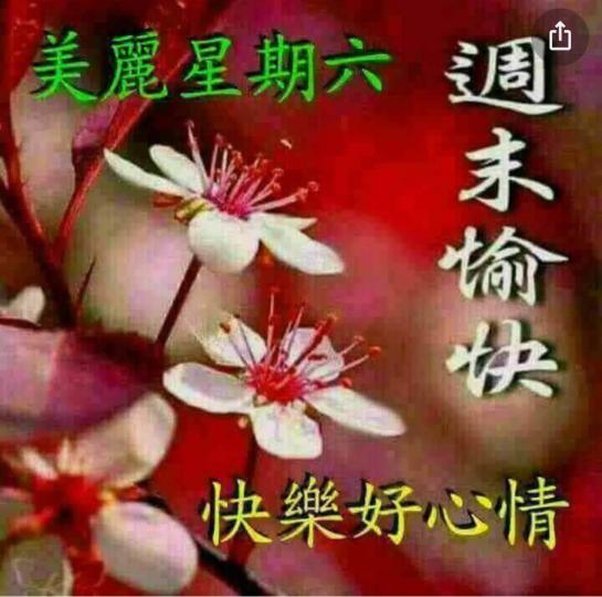 4A722AC2-CB63-45CE-920D-86989E556B3E-42844-000005139AB6236F