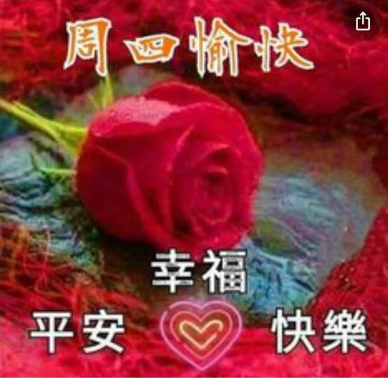 4AFD74BD-BA60-4D71-9DCA-569C9F9531A5-17944-00000215A6D430CD