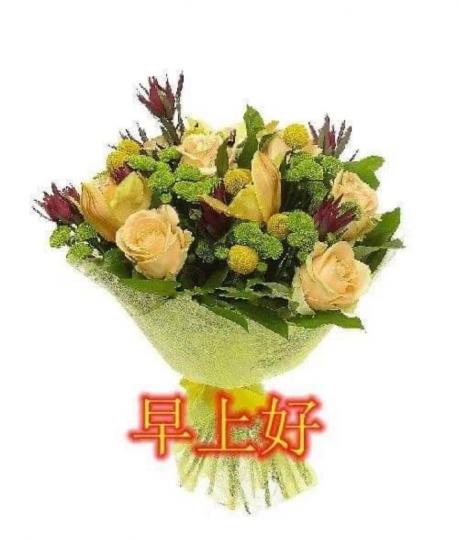 4BBC1638-EEB7-4264-A99D-B18C33552B5A-2933-0000016EC43302E6