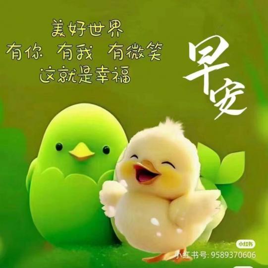 4BEC5286-22E9-4D66-87E0-EE0FE9F0BBE9-68108-000009F8FFFBF66D