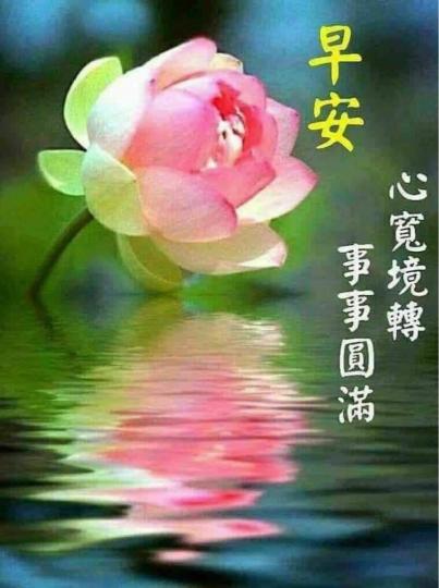 4C68A2C9-12D0-4A36-81FC-83CAF31FED8E-1592-0000009CF1641497