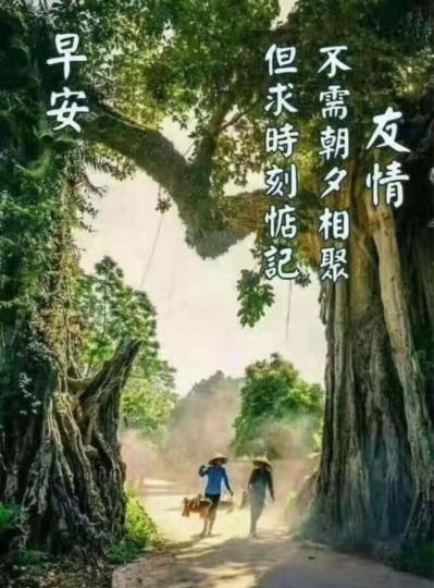 4D86D0D9-6F99-46DC-8FB9-D89EACFEA511-8764-0000013489617C51
