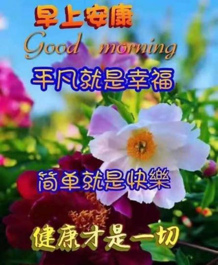 4E0A6EA1-9E29-4D6B-8B48-D539B1A7C351-68671-0000138266C8FB90