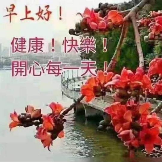 4F14B1A9-115A-408A-AA73-83C809014ED3-1918-000000FEDDCB5383