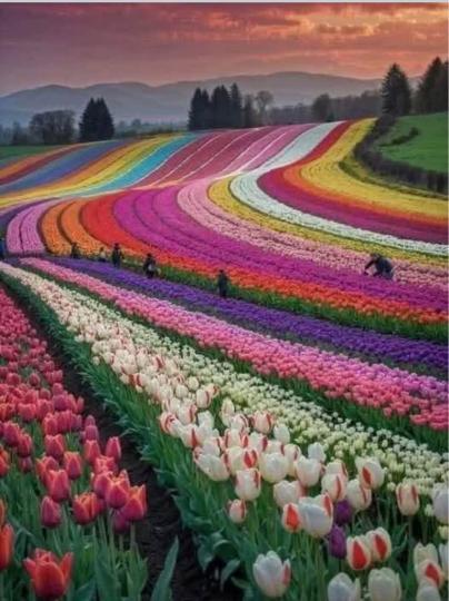 500025BD-B2DA-4688-B30F-61DC0A7B67E1-57140-0000050AF4DD9D87