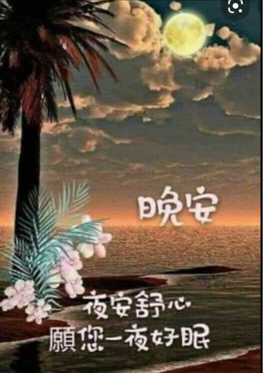 502DA522-CE14-4806-B406-4ADECC7CAA74-13483-00000305D6BFB98F