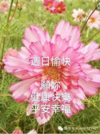 50C7881E-968E-4A66-948C-E7178137687A-85523-00000991DC6B6092
