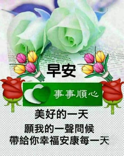 51489627-1189-48AE-9CB2-49595AE5F698-3563-0000015C4F6DAB71