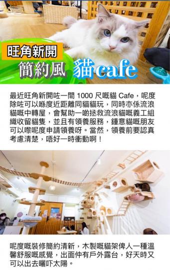 51772AFE-C2EF-42F7-A44B-0F3812C30B40-3922-0000020D8E0BB2E3
