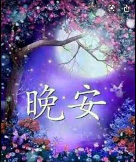 51D40AE8-74EF-43A4-ADC1-F380B3CC1403-2708-0000012EF8EC4953