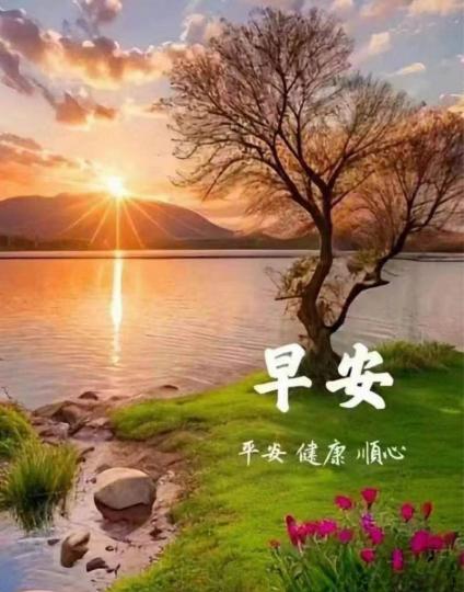 52444E92-E802-4C0D-B396-EC7C500BE4AA-53068-000005FFE05971DA