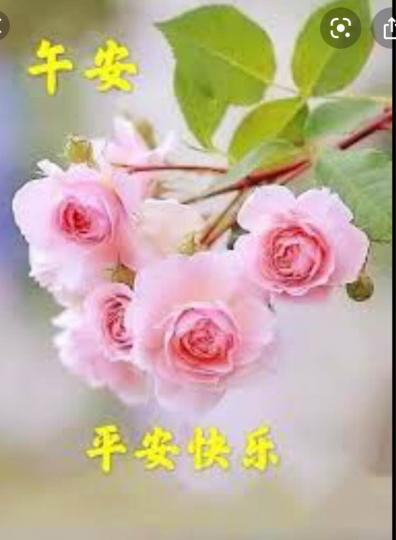 5245F409-FB73-4884-A3C4-56AE1BF4E69E-28555-0000059AE671EFC0