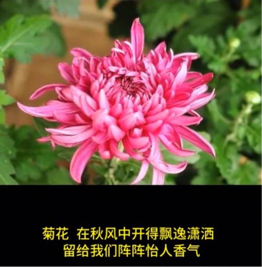 527231D1-E4D3-4822-9C74-9ABDFE4134D0-26726-00000604D104F355