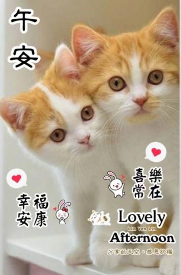 536C974A-A88C-4171-BC11-4457B1210BE5-1698-0000002B7773E96B