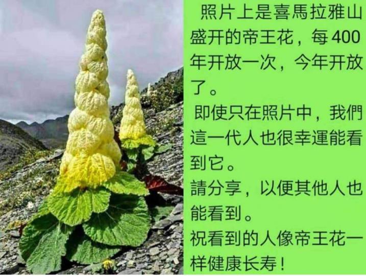 53AB68D3-A770-4544-8368-6680A93EE340-6162-000001FE38E07834