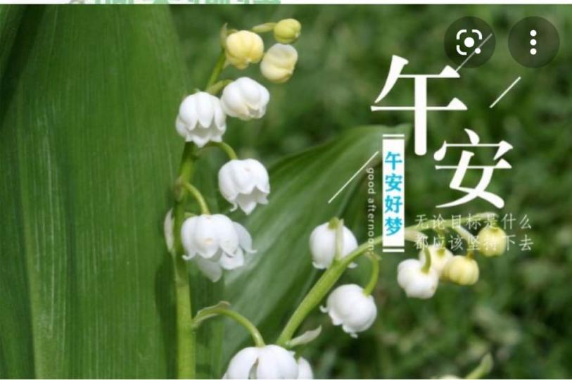 53E4D88D-6E8E-4DA6-91AE-C9D503DCA3C2-3552-00000190ABE28742