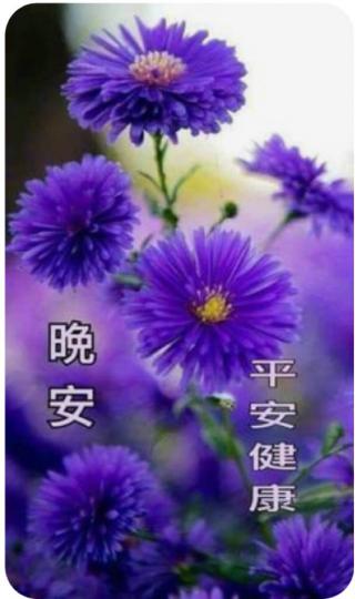 545C90A2-D1A0-42DE-BA19-9A8FC628E8BD-65771-000007230E44E064