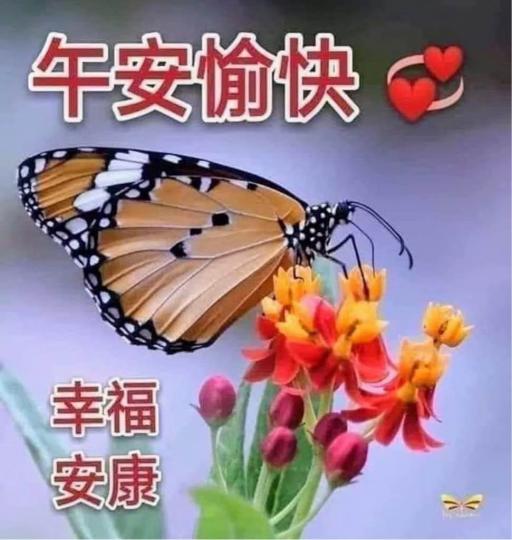 549CA77C-469A-419A-92F4-D33CED4750F5-6084-000000A7C0870C72