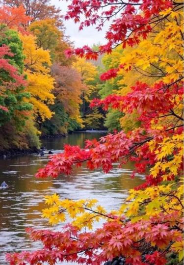 55B27860-95D7-479D-8D15-EF631A6BE112-95099-0000078D3620443B