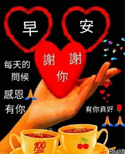 55E140E1-F2A2-40F0-9E6A-841219091A4A-5813-0000031A7733A2C5