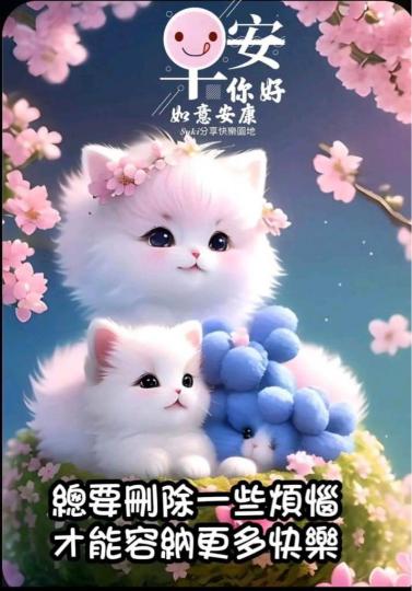 562F659F-BC46-4722-9700-0738E4D9527F-55276-000005FE11A86DB2