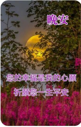 56AD8058-5912-4398-B88C-926D5514ACAC-57320-000006546D94ED86