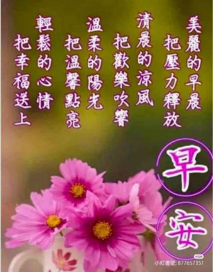 56D90510-8272-4E44-9BE2-1A5E2A2A5C03-46651-000011129D981C0D
