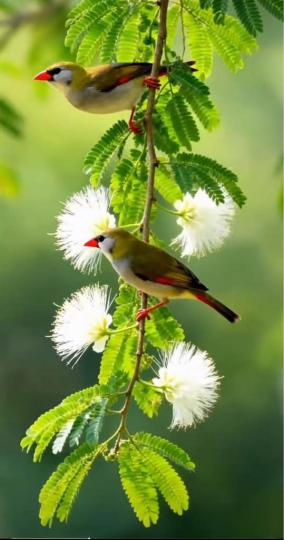 56F19A3E-56D1-4FAB-9609-5C39AF0C09A7-61721-00001D3E661A2B1D