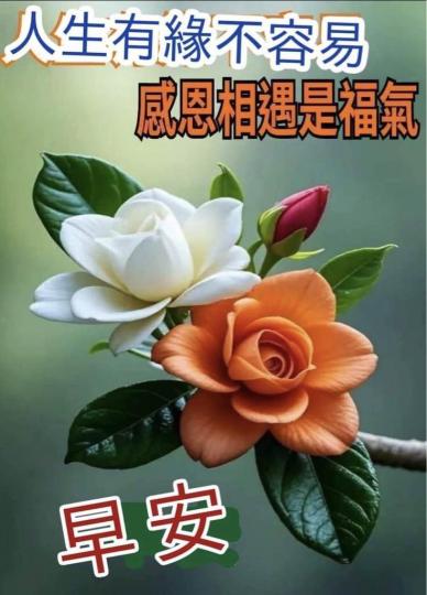 57C52F8F-C43B-4769-92E6-FBF3E8157D06-23751-00001911B50C57CF