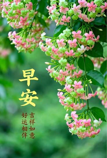 59257904-9ACD-4A8B-B874-6F97C1F03BF1-2561-0000080AF58ADB21