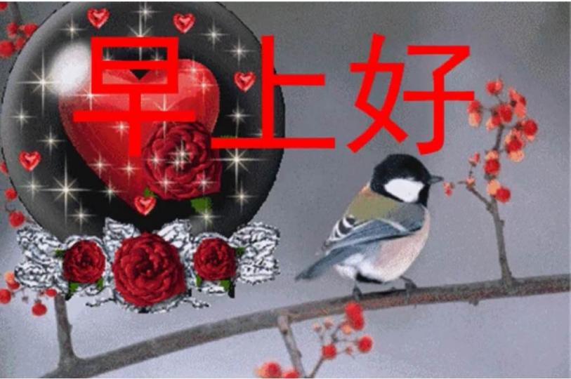 5AE96F8B-1CB2-433B-B0AA-39FA48F3541A-2464-00000142642C7FAB