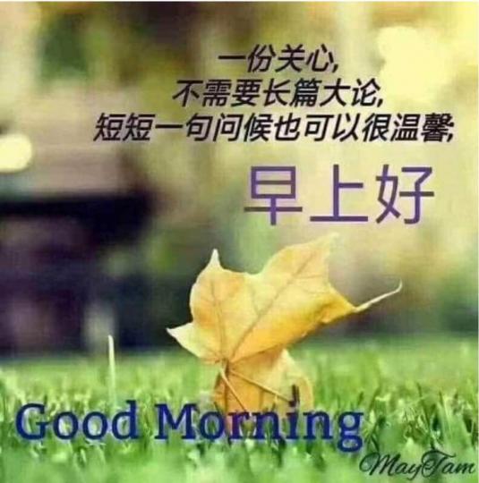 5B7065FE-15D5-4FD6-B4C0-2B0B761FBB9B-1112-0000005925CB3008