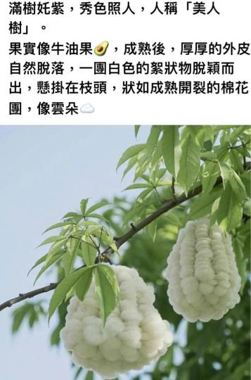 5B84BE1F-C44F-4E09-A4C7-2F9644D2C066-42770-000004B78312014D