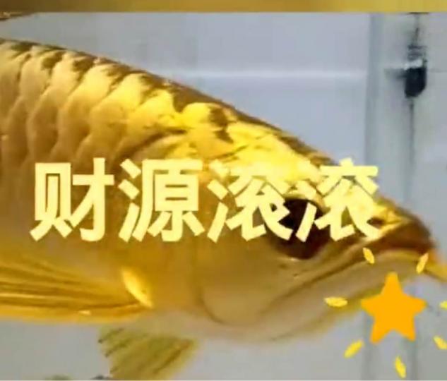 5B9349C4-C404-48CF-8C24-BCC202F9D90E-1959-000000F71713AF95