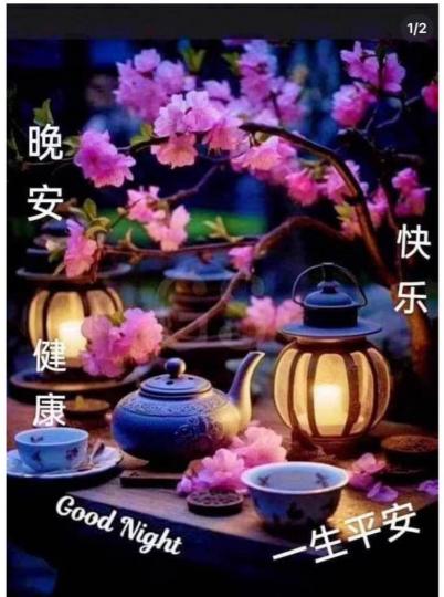 5D281589-D9BA-43FD-A8B6-513505F45E9C-45478-000006AEE397ECC7