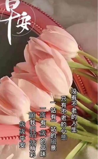 5E1EE2E2-65AA-4E95-BFAA-A42C72CF8D3B-187-00000000FCC53916