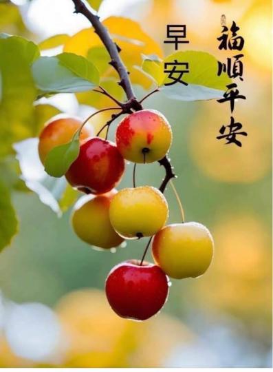 5EC568EE-1777-479B-A672-2ABD25F94069-16638-00000B0D3FF43AEF