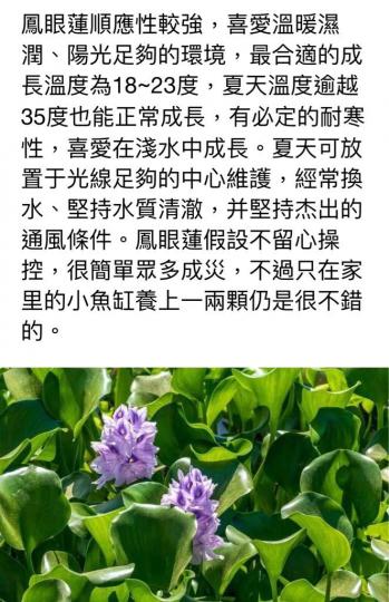608FA7B2-F54B-467B-8328-7F20296E8807-1780-00000040C8E4CB1D
