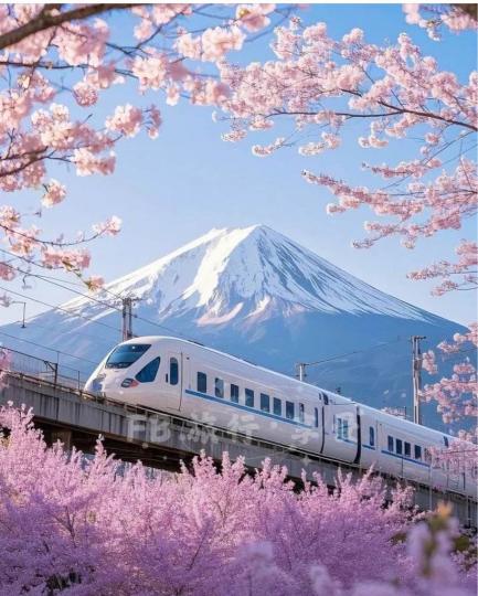 60BFDFD7-142C-49FF-A706-767DF599D76D-92272-0000076797275C1C