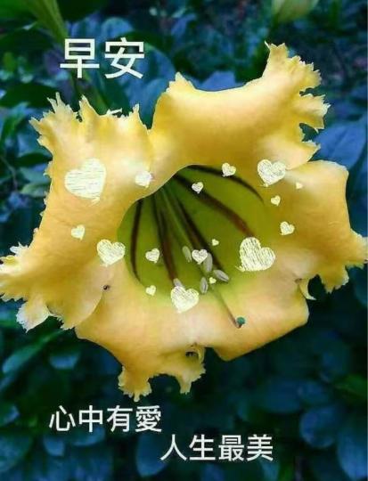 6136FE68-9AF2-4A08-AE3F-7B5DA7FF43EB-56319-000006A2D6E2210E