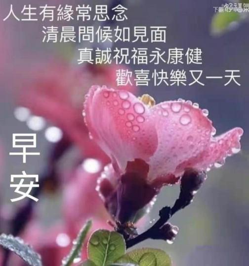 61A216F5-A7B2-4CA7-8C1B-DA6BBD9253AC-396-00000005AB7A357A