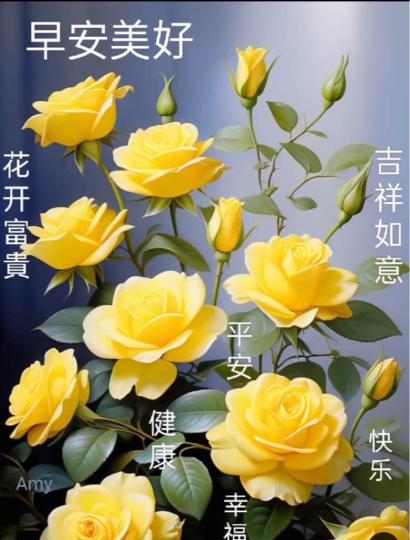 61CB47B4-AC38-4895-94FD-35842185D60C-78558-000005EC9B45B7A2