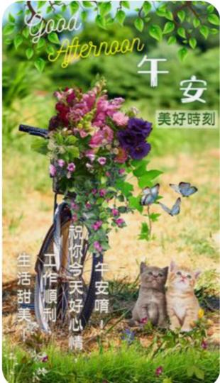 61F3B9CF-59F7-45EE-B088-E03C4E9A9DBC-95851-00000B17B9E1D99C