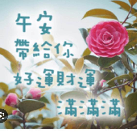 62585ABE-8113-4207-9C7F-62729EBA9EC1-57815-000006469F0FDBE2
