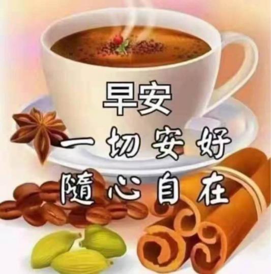 628E831D-7ED7-4CA4-A81E-5FC82DF7CB8D-54749-00000674CB2CB5F5