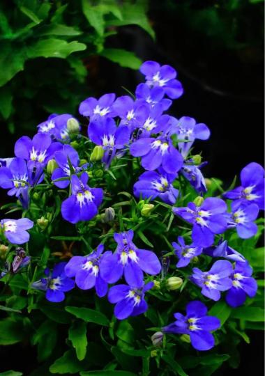 62F29838-B103-43AC-8EB6-C2D8079DF7CB-27166-000002C7B94A37B4