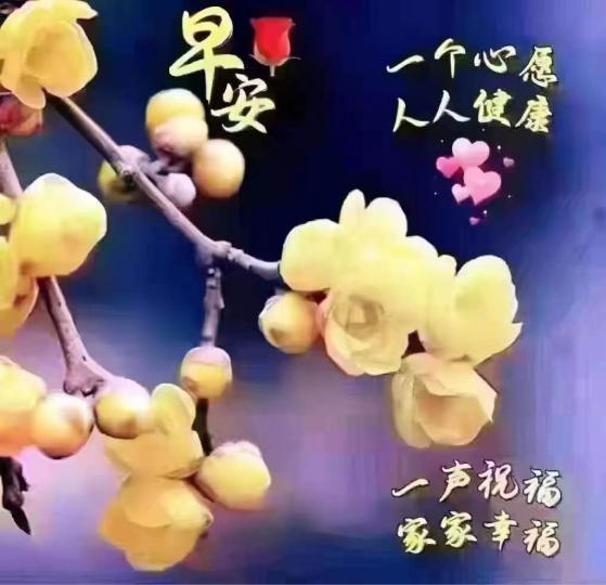 632CBDDF-66A1-4287-BAA0-C8D955912A91-17074-000001C1AD0A8622